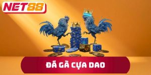 Đá Gà Cựa Dao