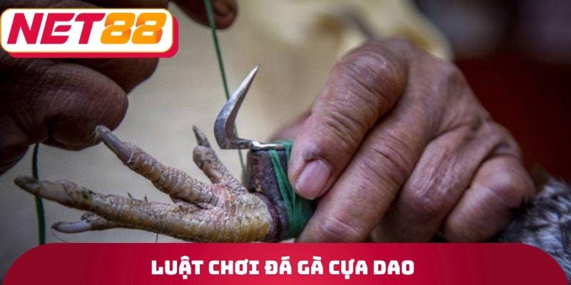 Luật chơi đá gà cựa dao