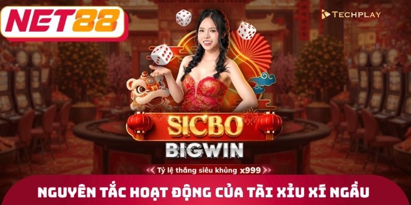 Nguyên tắc hoạt động của tài xỉu xí ngầu