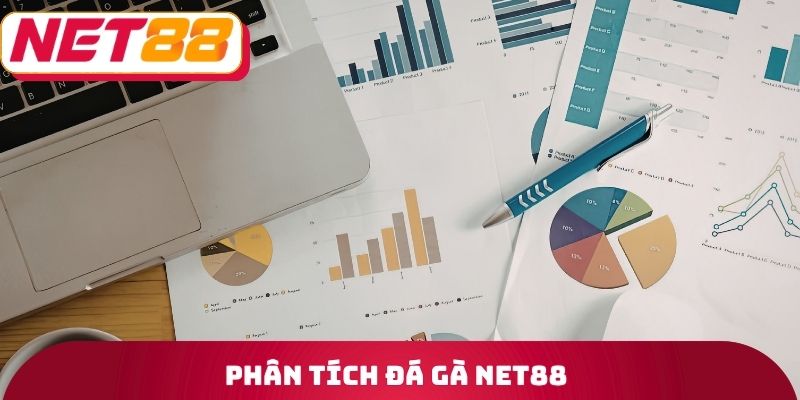 Phân tích đá gà Net88