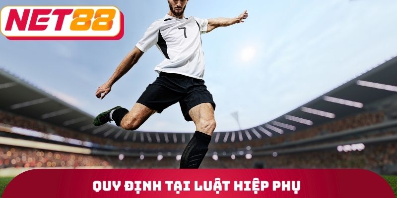 Quy định tại luật hiệp phụ